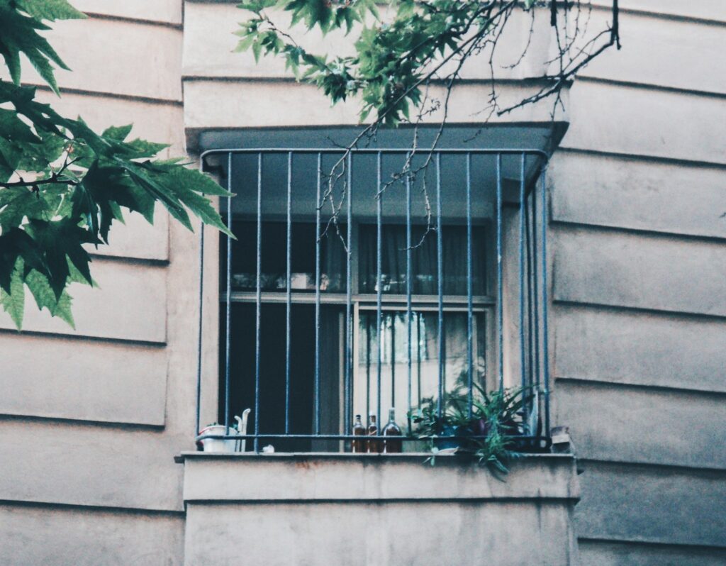 Window with metal bars and green leaves