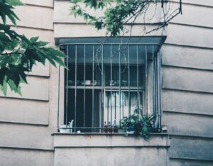 Window with metal bars and green leaves