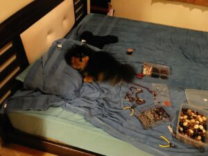 a small dog laying on top of a bed