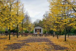 white and brown wooden house surrounded by trees under white clouds during daytime